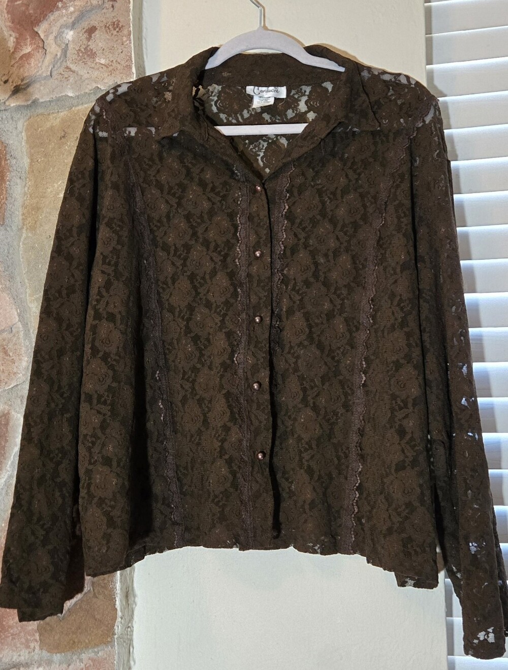 Vintage 90s Romantic Sheer Lace Button Up